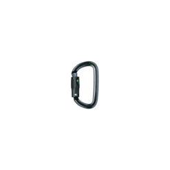 Petzl Am'D Ball Lock Carabiner