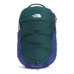 The North Face Women's Borealis -Outdoor Sports Store NF0A52SI 8E8 hero 1