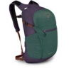 Daylite Plus -Outdoor Sports Store dayltpluss21 f22 side axogreenenchantmentpurple
