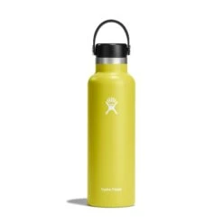 Hydro Flask 21 Oz Standard Mouth Water Bottle 26 Hydro Flask 21 Oz Standard Mouth Water Bottle -Outdoor Sports Store s21sx752 cactus straighton