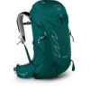 Tempest 34 2 Tempest 34 -Outdoor Sports Store tempest34 s21 side jaspergreen e92cfd6f e3d2 4d74 96c1 9c39d8350f63